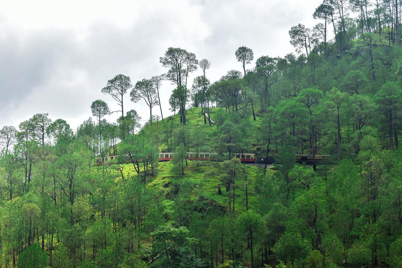 Jungle Lodge Resort Kasauli Exterior photo